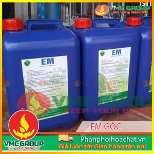 men-vi-sinh-em-goc-pphcvm